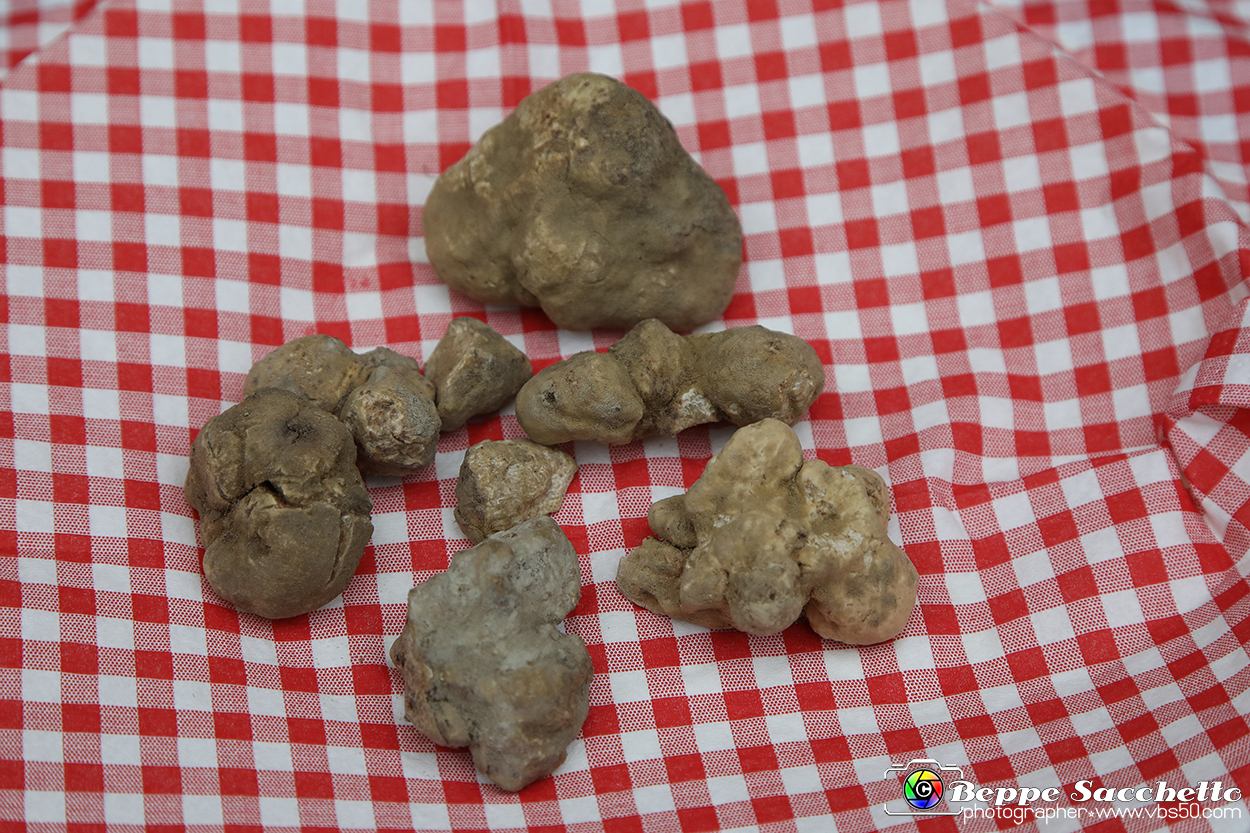 VBS_6934 - Fiera dei Santi - 12.ma Fiera Nazionale del Tartufo.jpg
